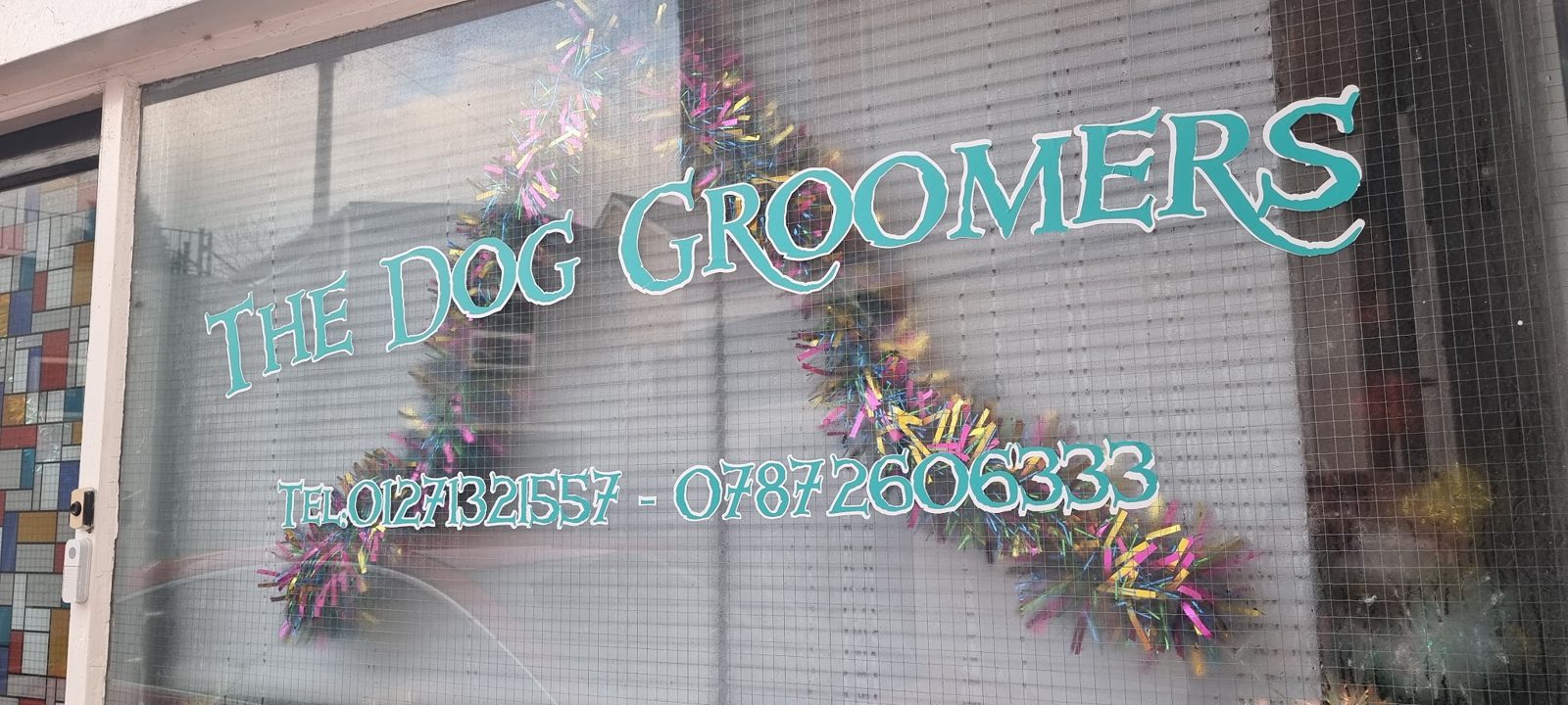 The salon window, lettered The Dog Groomers